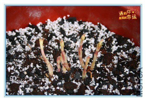 22��Ƭ 119_����.jpg