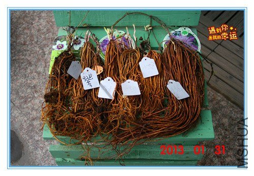 11��Ƭ 001_����.jpg