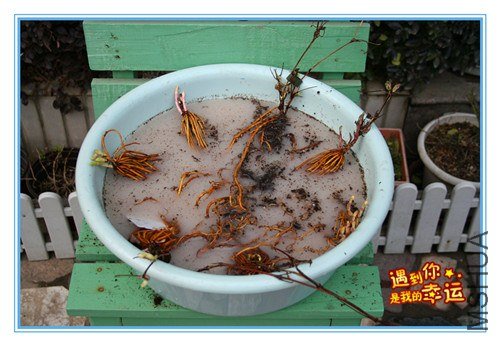 13��Ƭ 009_����.jpg