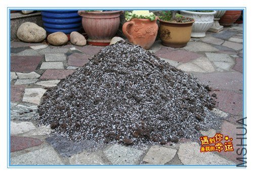 15��Ƭ 018_����.jpg