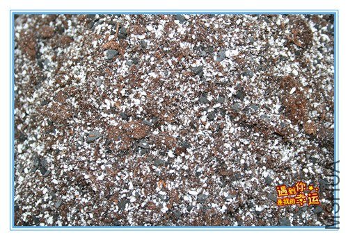 16��Ƭ 020_����.jpg