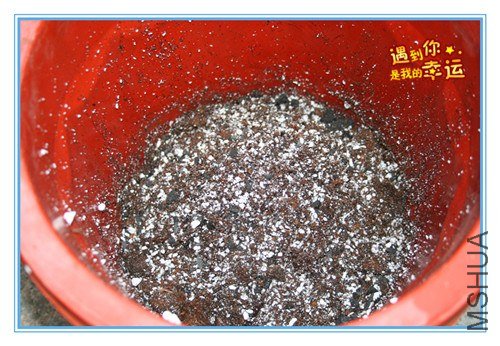 18��Ƭ 024_����.jpg