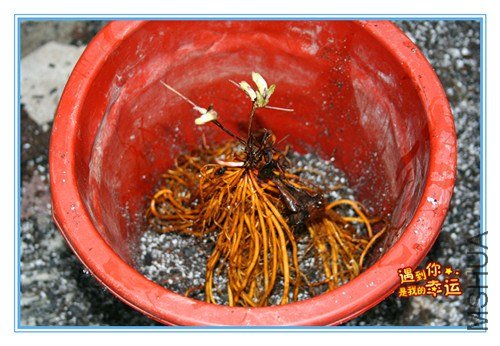 19��Ƭ 026_����.jpg