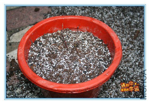 20��Ƭ 028_����.jpg