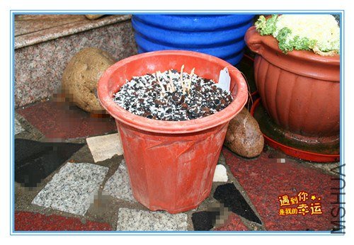 21��Ƭ 116_����.jpg