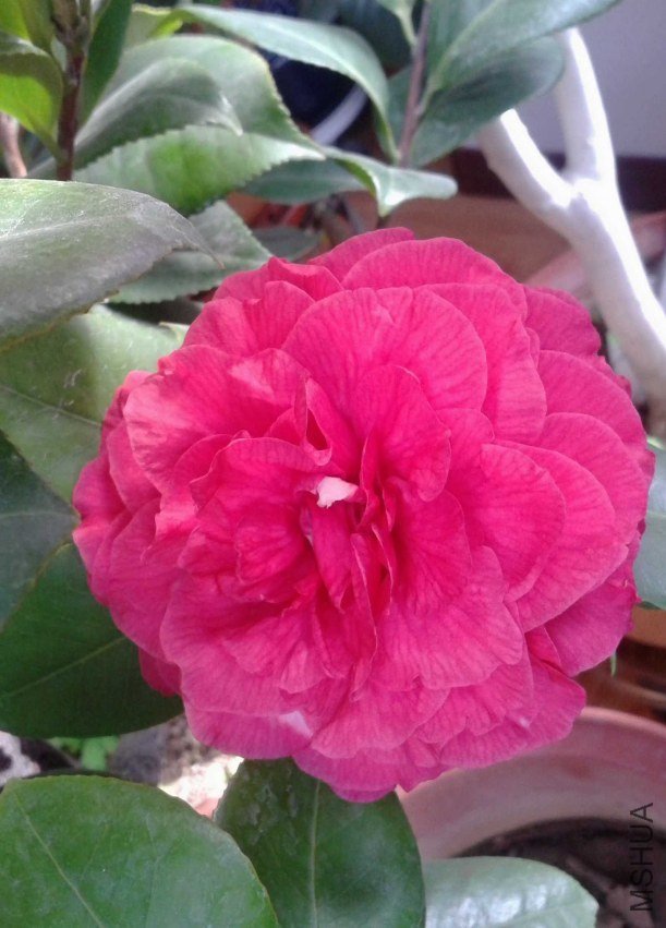 20130207_102026.jpg