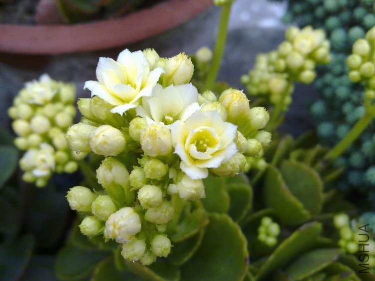 ������С 201302074636.jpg