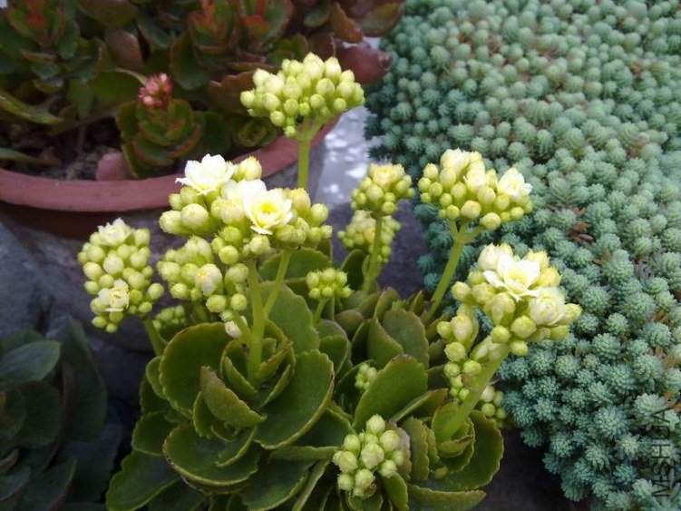 ������С 201302074637.jpg