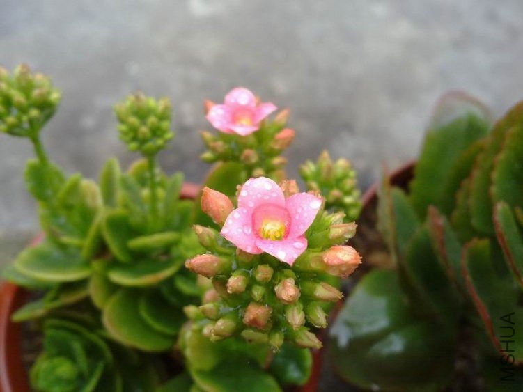 ������С 201302074622.jpg