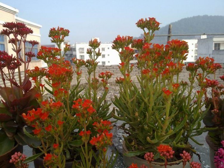 ������С 201302064582.jpg