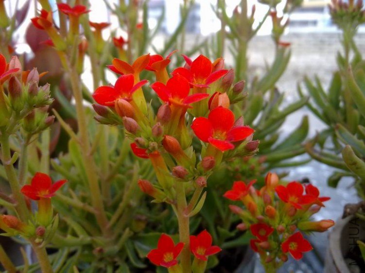 ������С 201302064583.jpg