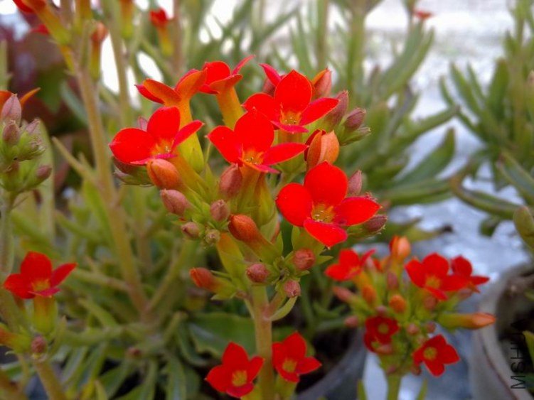 ������С 201302064584.jpg