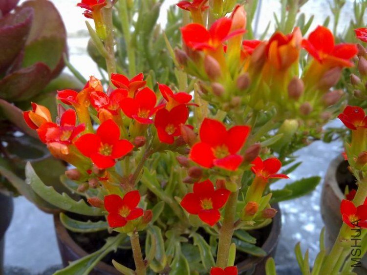 ������С 201302064592.jpg