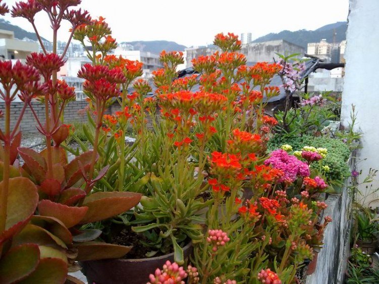 ������С 201302074652.jpg