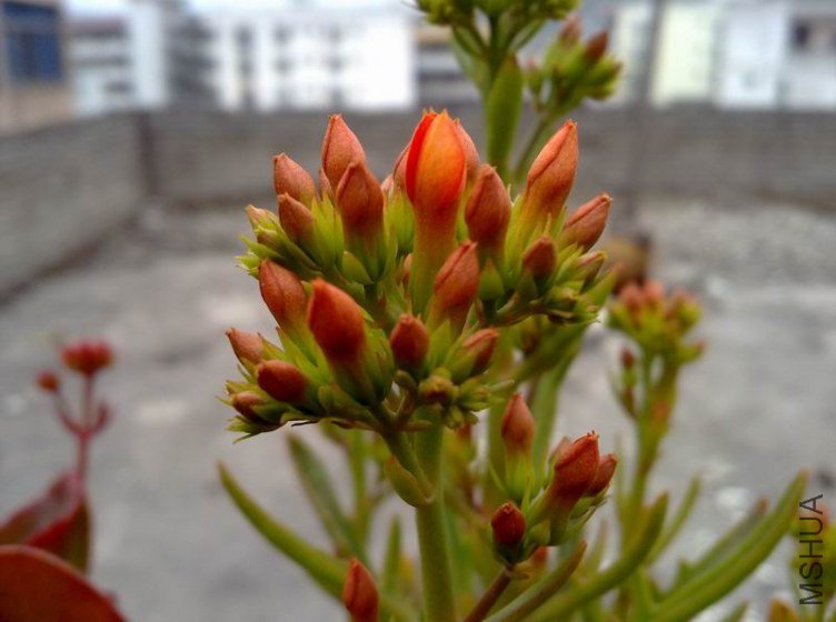 ������С ��ת 201301254435.jpg