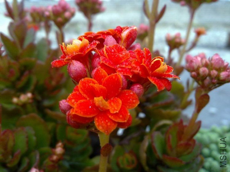 ������С 201302074639.jpg