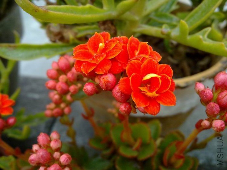 ������С 201302074638.jpg