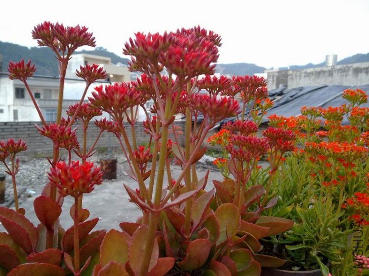 ������С 201302074653.jpg