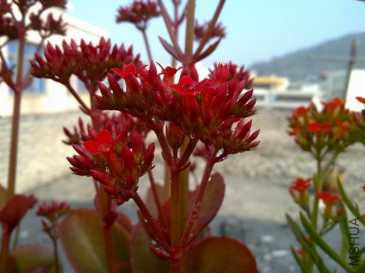 ������С 201302064593.jpg