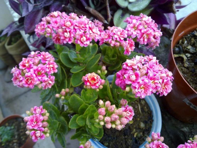 ������С 201302074625.jpg