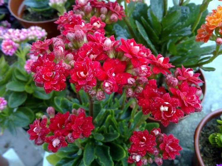 ������С 201302074629.jpg