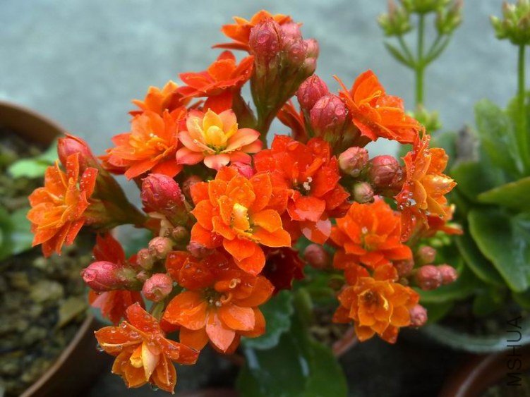 ������С 201302074630.jpg