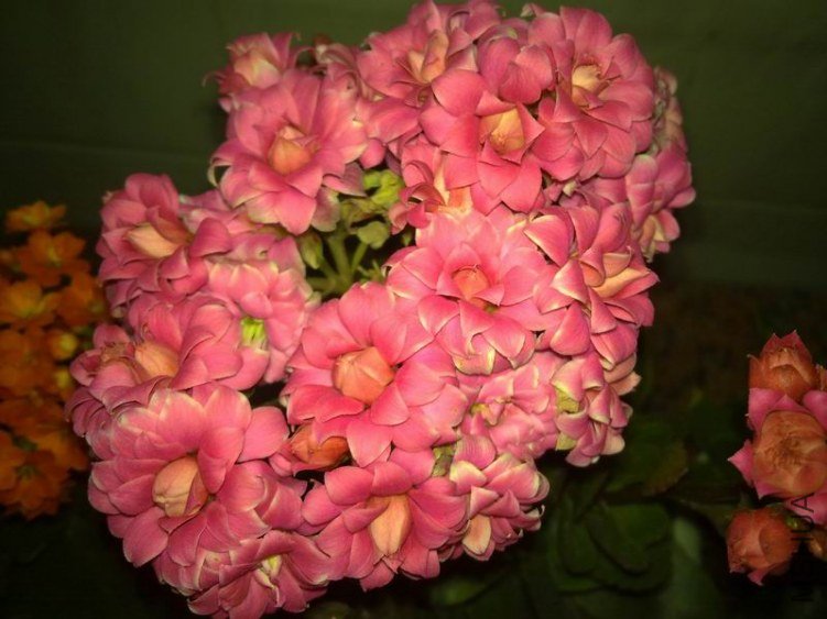 ������С 201302084669.jpg