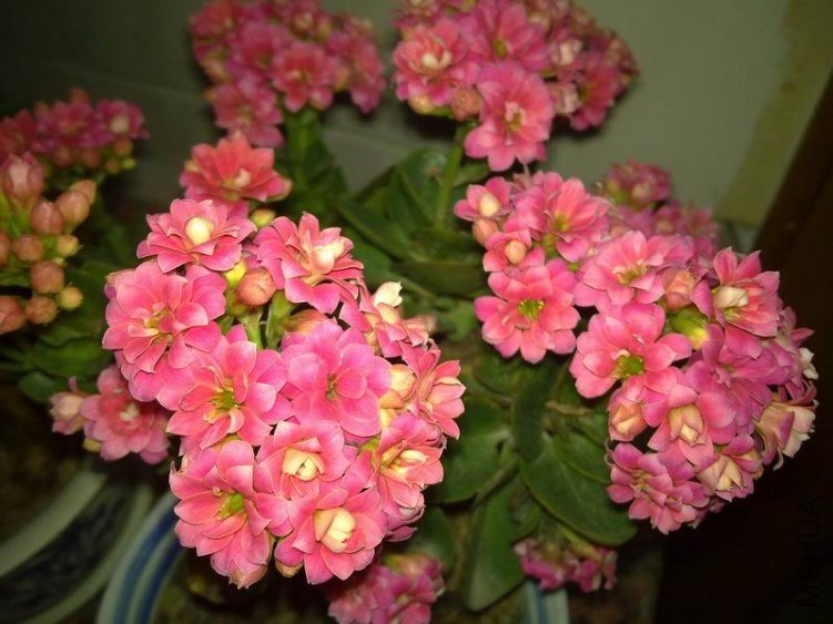 ������С 201302084673.jpg