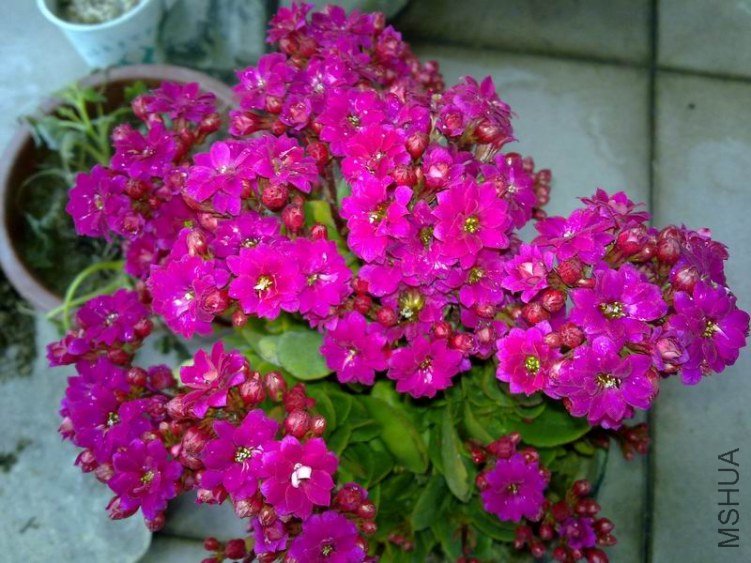 ������С 201301314518.jpg