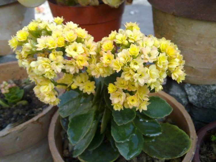 ������С 201302064591.jpg