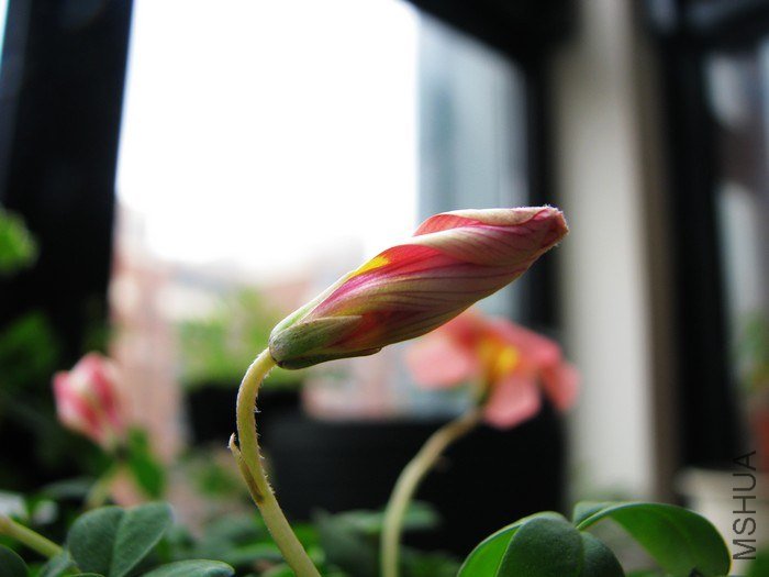 nEO_IMG_IMG_2908.jpg