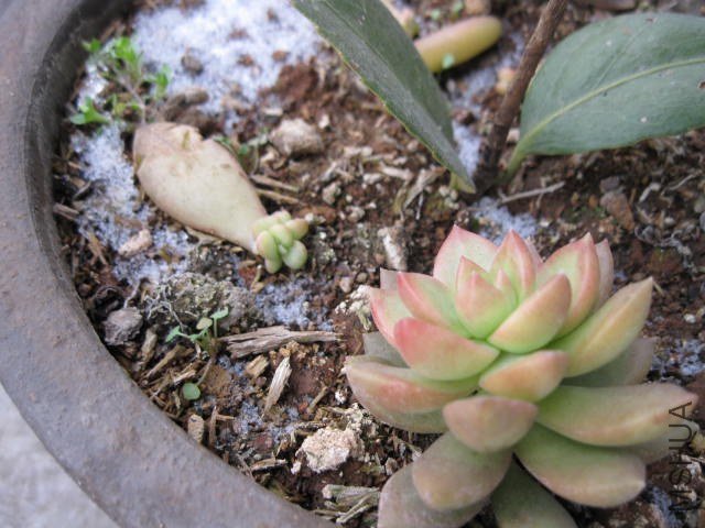 IMG_8075.JPG
