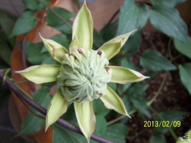 100_7766.JPG