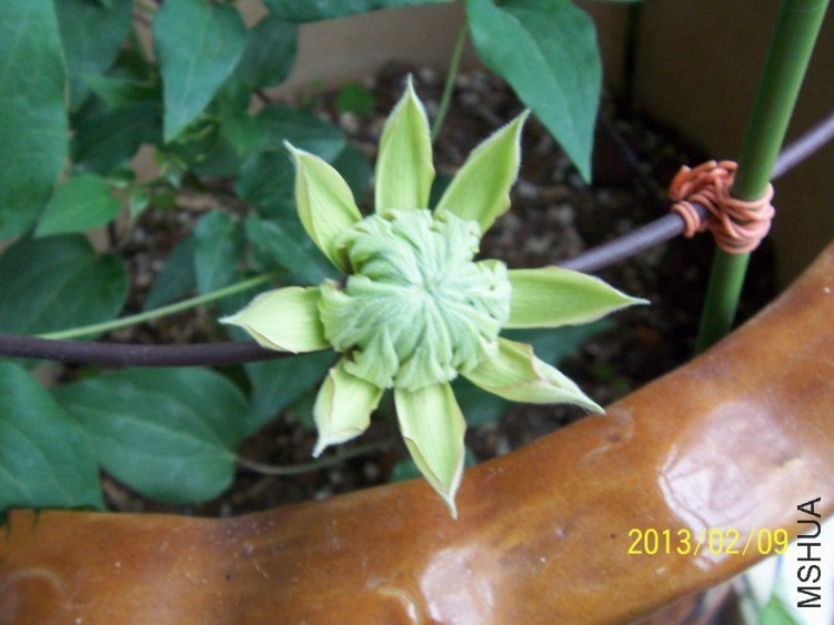 100_7769.JPG