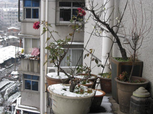 IMG_8086.JPG