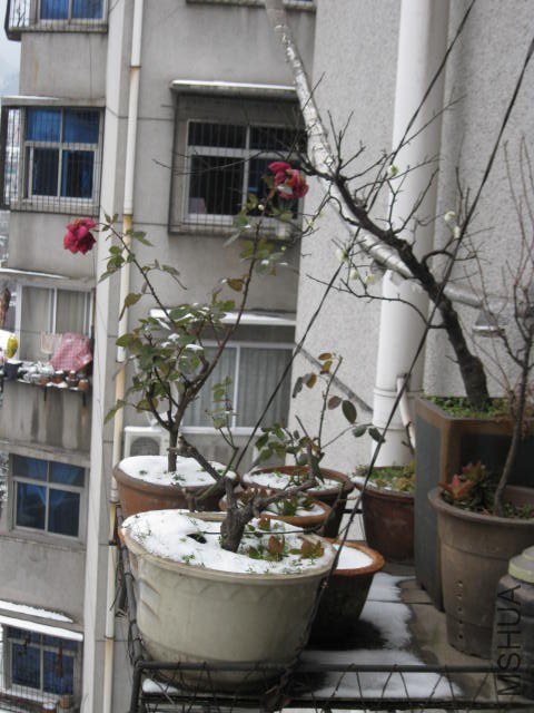IMG_8089.JPG