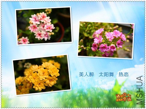 ��Ƭ 030_����.jpg