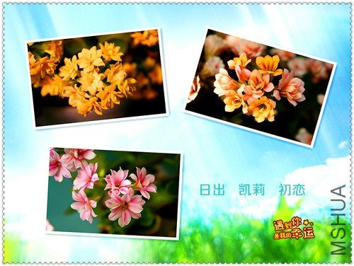 ��Ƭ 020_����.jpg