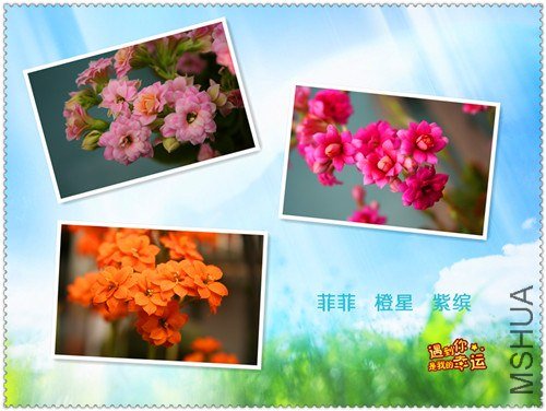 ��Ƭ 025_����.jpg