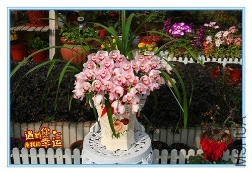 ��Ƭ 107_����.jpg