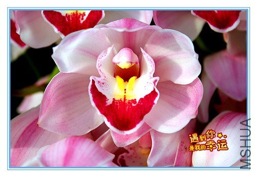 ��Ƭ 115_����.jpg