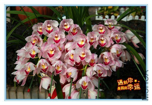 ��Ƭ 109_����.jpg