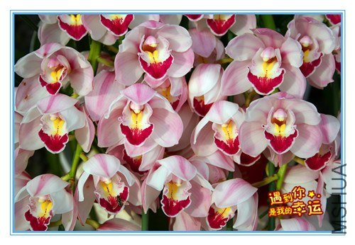 ��Ƭ 110_����.jpg