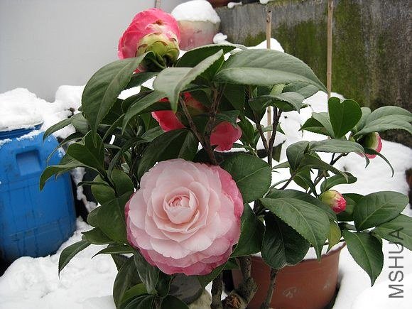 �軨2013 025.jpg