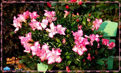 ��Ƭ 008_����.jpg