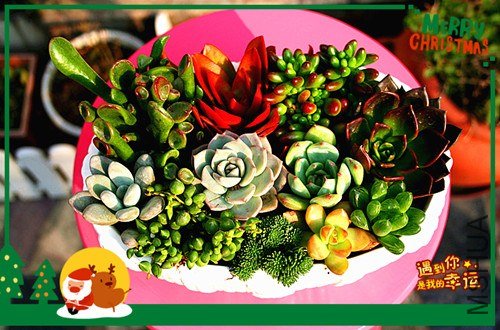 ��Ƭ 027_����.jpg