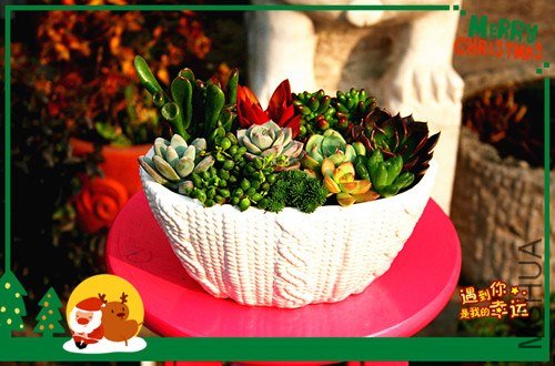 ��Ƭ 023_����.jpg