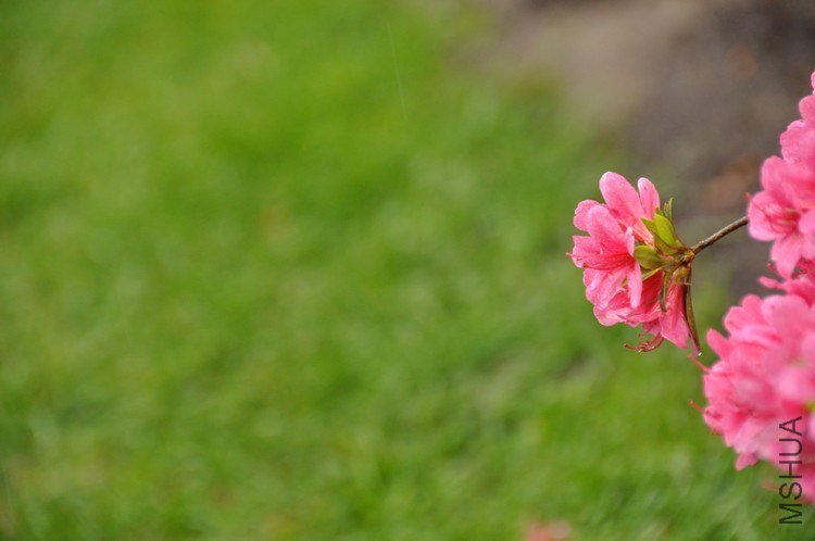 nEO_IMG_DSC_0023.jpg