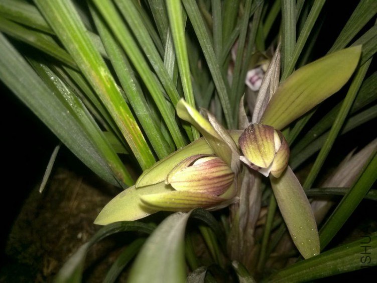 ������-2.10 (1).jpg