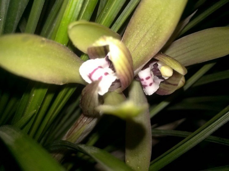 ������-2.10 (2).jpg